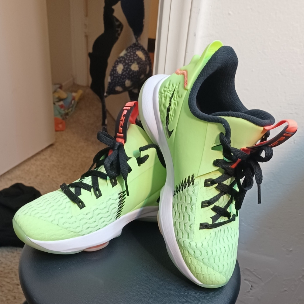 Nike LeBron witness 5